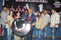 Madhumati Movie Audio Release